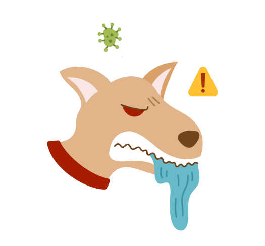 Cão infectado